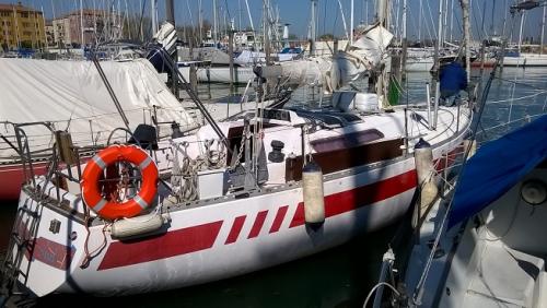 Nome del file: rosa rid.jpg
Dimensione: 159,43 KB
08-03-2022, 23:43