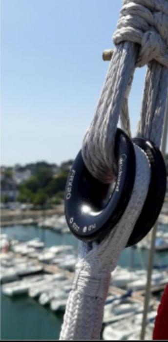 Nome del file: Screenshot_2024-12-31-15-47-41-10_6012fa4d4ddec268fc5c7112cbb265e7.jpg
Dimensione: 206,23 KB
31-12-2024, 16:54